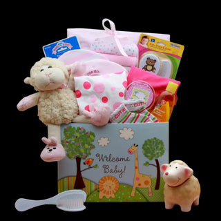 Pink New Baby Gift Box - Conrad's Best Gourmet Gifts - product image