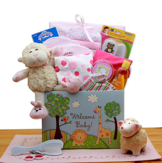 Pink New Baby Gift Box - Conrad's Best Gourmet Gifts - product image